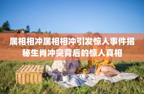 属相相冲属相相冲引发惊人事件揭秘生肖冲突背后的惊人真相