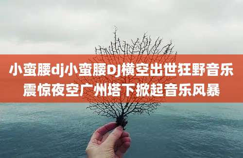 小蛮腰dj小蛮腰DJ横空出世狂野音乐震惊夜空广州塔下掀起音乐风暴