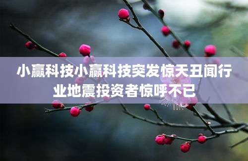 小赢科技小赢科技突发惊天丑闻行业地震投资者惊呼不已