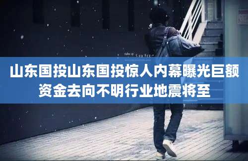 山东国投山东国投惊人内幕曝光巨额资金去向不明行业地震将至