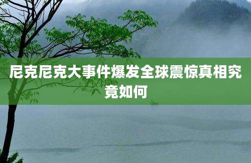 尼克尼克大事件爆发全球震惊真相究竟如何