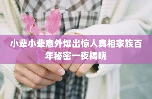 小辈小辈意外爆出惊人真相家族百年秘密一夜揭晓