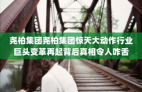 尧柏集团尧柏集团惊天大动作行业巨头变革再起背后真相令人咋舌