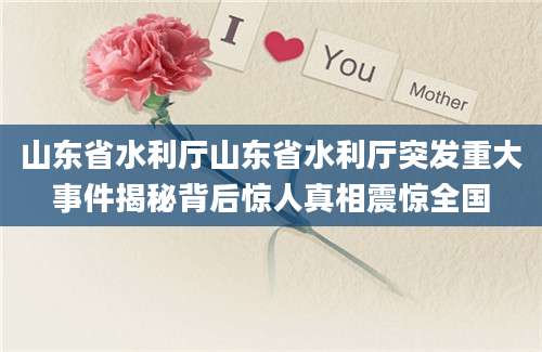 山东省水利厅山东省水利厅突发重大事件揭秘背后惊人真相震惊全国