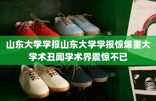 山东大学学报山东大学学报惊爆重大学术丑闻学术界震惊不已