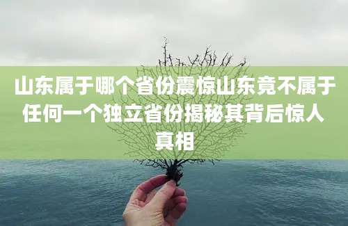 山东属于哪个省份震惊山东竟不属于任何一个独立省份揭秘其背后惊人真相