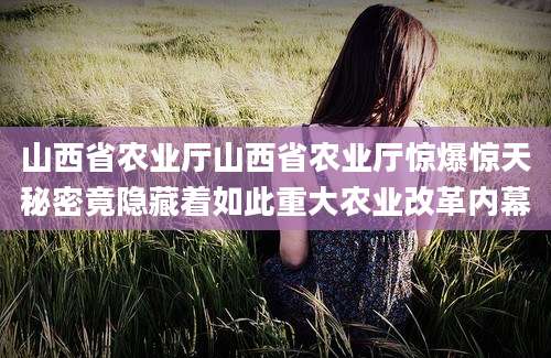 山西省农业厅山西省农业厅惊爆惊天秘密竟隐藏着如此重大农业改革内幕