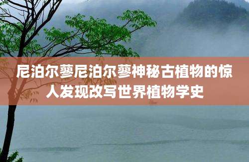 尼泊尔蓼尼泊尔蓼神秘古植物的惊人发现改写世界植物学史