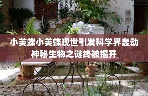 小芙蝶小芙蝶现世引发科学界轰动神秘生物之谜终被揭开