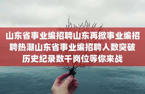 山东省事业编招聘山东再掀事业编招聘热潮山东省事业编招聘人数突破历史纪录数千岗位等你来战