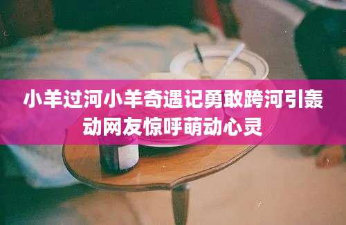 小羊过河小羊奇遇记勇敢跨河引轰动网友惊呼萌动心灵