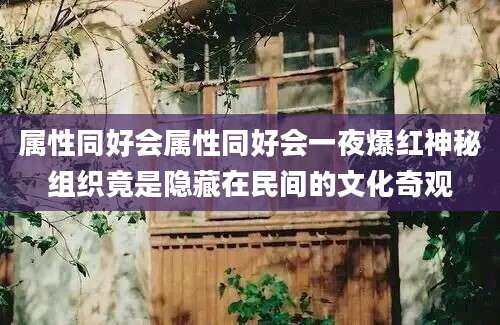 属性同好会属性同好会一夜爆红神秘组织竟是隐藏在民间的文化奇观