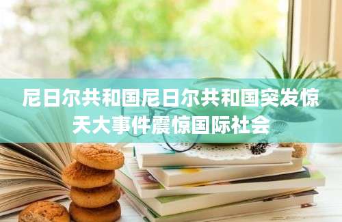 尼日尔共和国尼日尔共和国突发惊天大事件震惊国际社会