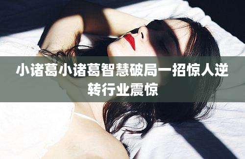 小诸葛小诸葛智慧破局一招惊人逆转行业震惊