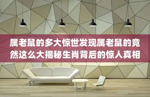 属老鼠的多大惊世发现属老鼠的竟然这么大揭秘生肖背后的惊人真相