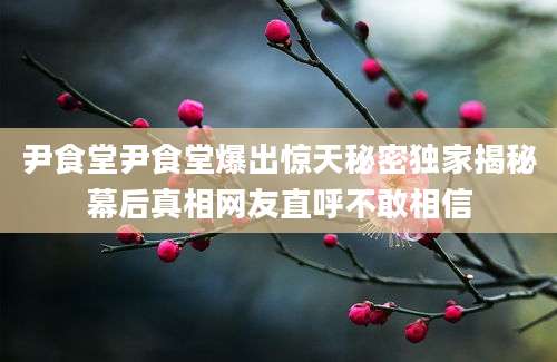 尹食堂尹食堂爆出惊天秘密独家揭秘幕后真相网友直呼不敢相信