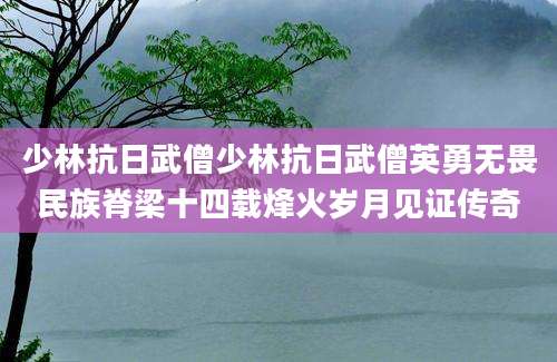 少林抗日武僧少林抗日武僧英勇无畏民族脊梁十四载烽火岁月见证传奇