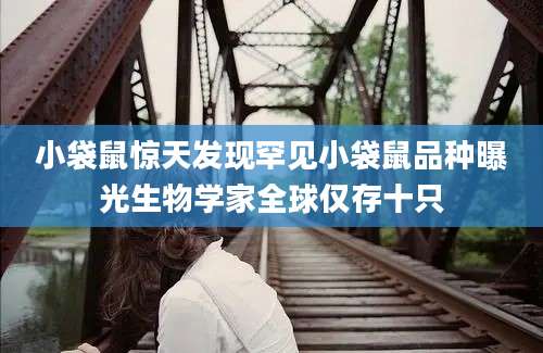 小袋鼠惊天发现罕见小袋鼠品种曝光生物学家全球仅存十只