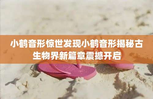 小鹤音形惊世发现小鹤音形揭秘古生物界新篇章震撼开启