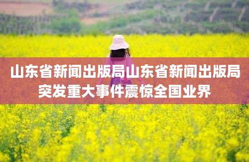 山东省新闻出版局山东省新闻出版局突发重大事件震惊全国业界