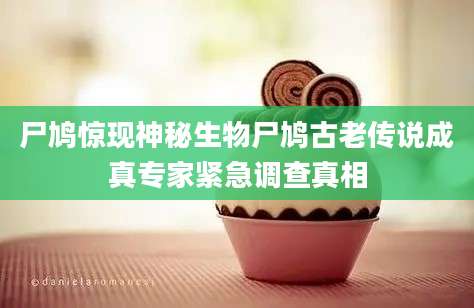 尸鸠惊现神秘生物尸鸠古老传说成真专家紧急调查真相