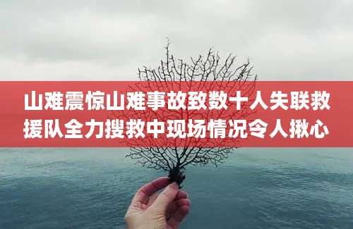 山难震惊山难事故致数十人失联救援队全力搜救中现场情况令人揪心