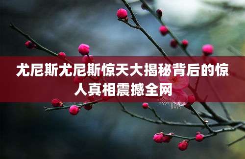 尤尼斯尤尼斯惊天大揭秘背后的惊人真相震撼全网