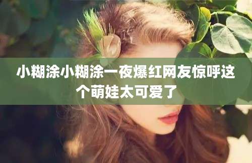 小糊涂小糊涂一夜爆红网友惊呼这个萌娃太可爱了
