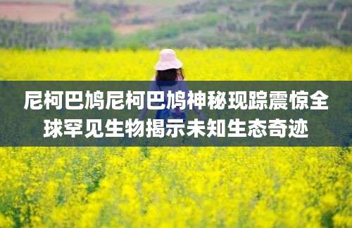 尼柯巴鸠尼柯巴鸠神秘现踪震惊全球罕见生物揭示未知生态奇迹