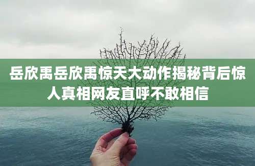 岳欣禹岳欣禹惊天大动作揭秘背后惊人真相网友直呼不敢相信