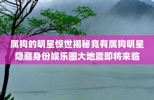 属狗的明星惊世揭秘竟有属狗明星隐藏身份娱乐圈大地震即将来临