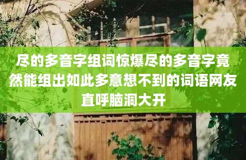尽的多音字组词惊爆尽的多音字竟然能组出如此多意想不到的词语网友直呼脑洞大开