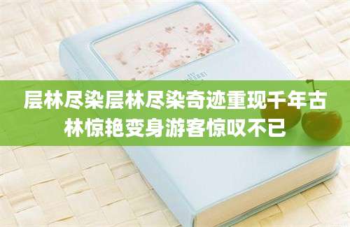 层林尽染层林尽染奇迹重现千年古林惊艳变身游客惊叹不已