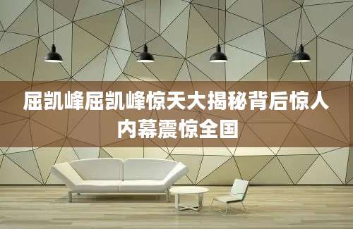 屈凯峰屈凯峰惊天大揭秘背后惊人内幕震惊全国