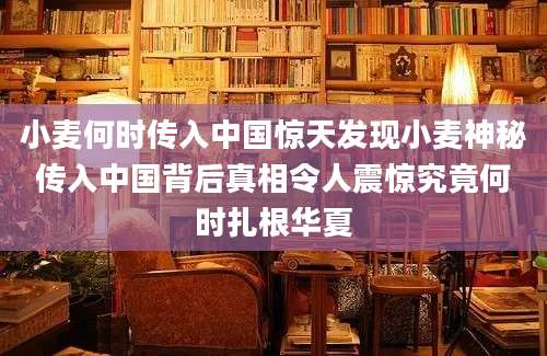 小麦何时传入中国惊天发现小麦神秘传入中国背后真相令人震惊究竟何时扎根华夏