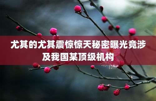 尤其的尤其震惊惊天秘密曝光竟涉及我国某顶级机构