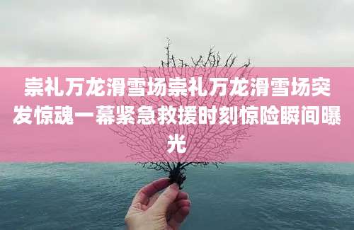 崇礼万龙滑雪场崇礼万龙滑雪场突发惊魂一幕紧急救援时刻惊险瞬间曝光