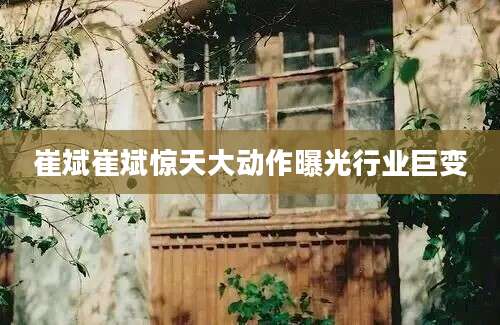 崔斌崔斌惊天大动作曝光行业巨变