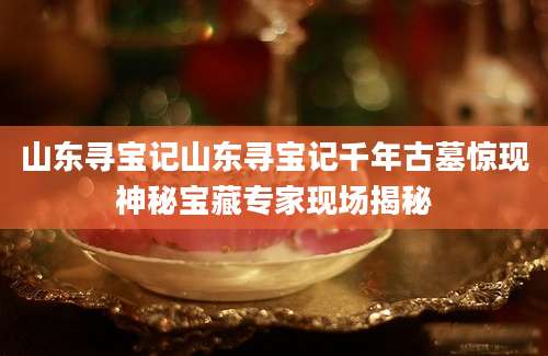 山东寻宝记山东寻宝记千年古墓惊现神秘宝藏专家现场揭秘