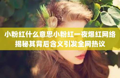小粉红什么意思小粉红一夜爆红网络揭秘其背后含义引发全网热议