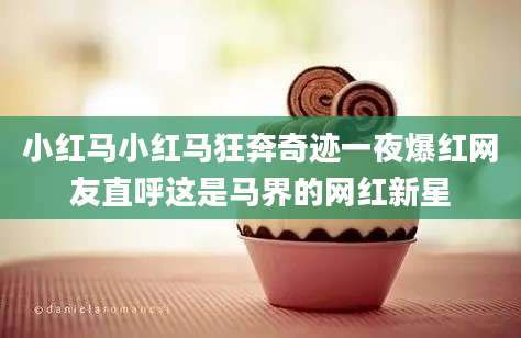 小红马小红马狂奔奇迹一夜爆红网友直呼这是马界的网红新星