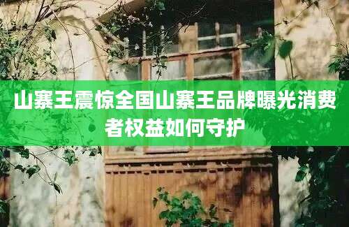 山寨王震惊全国山寨王品牌曝光消费者权益如何守护