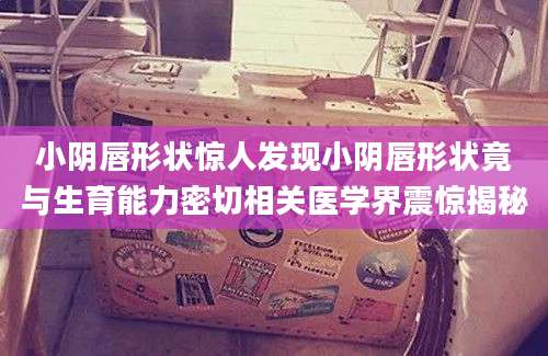 小阴唇形状惊人发现小阴唇形状竟与生育能力密切相关医学界震惊揭秘