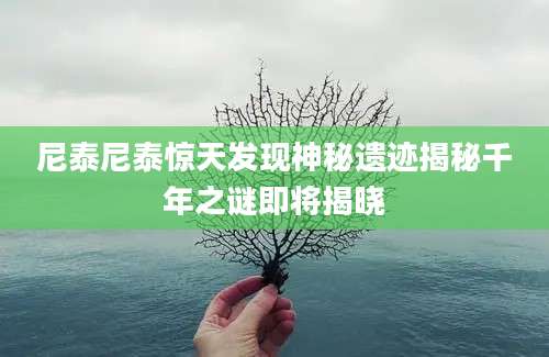 尼泰尼泰惊天发现神秘遗迹揭秘千年之谜即将揭晓