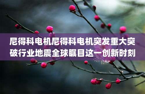 尼得科电机尼得科电机突发重大突破行业地震全球瞩目这一创新时刻