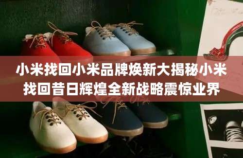 小米找回小米品牌焕新大揭秘小米找回昔日辉煌全新战略震惊业界