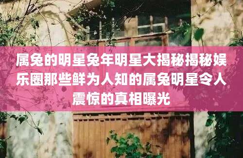 属兔的明星兔年明星大揭秘揭秘娱乐圈那些鲜为人知的属兔明星令人震惊的真相曝光