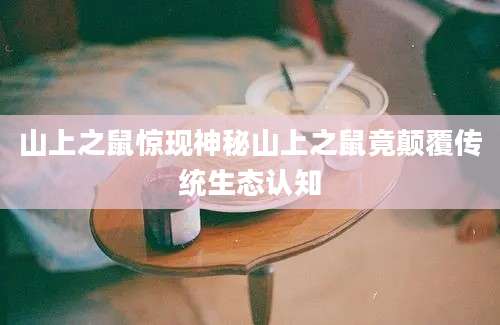 山上之鼠惊现神秘山上之鼠竟颠覆传统生态认知