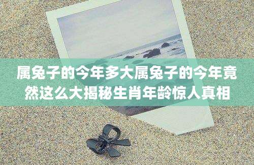 属兔子的今年多大属兔子的今年竟然这么大揭秘生肖年龄惊人真相