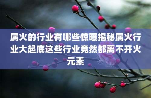 属火的行业有哪些惊曝揭秘属火行业大起底这些行业竟然都离不开火元素